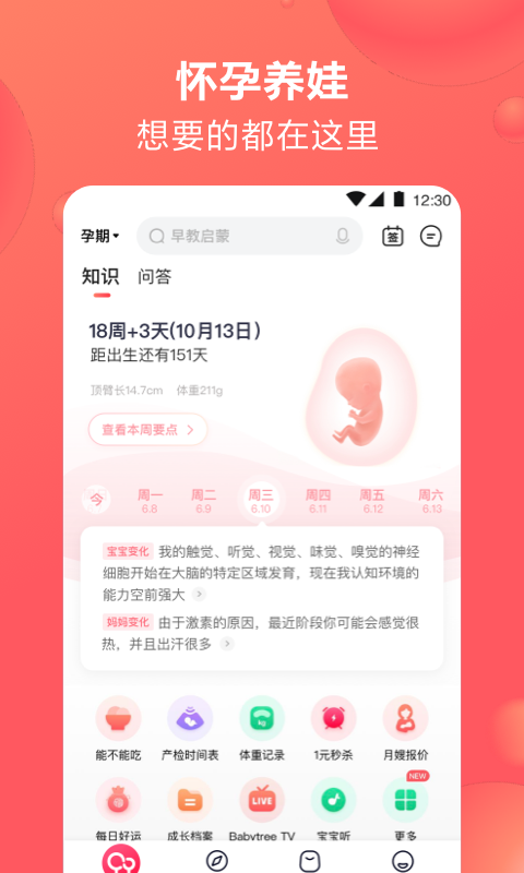 宝宝孕育树免费下载缩略图