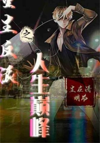 重生之颠峰人生图标