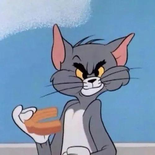 tom猫的头像