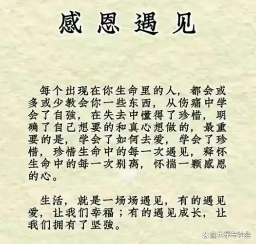 遇见____为题600字