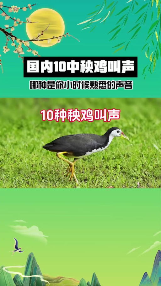 秧鸡叫声诱捕30分钟游戏截图