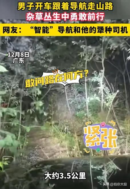 缺德导航搞笑语音包缩略图