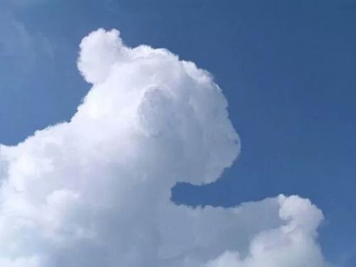 瑞彩祥云2下载老版本