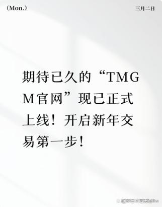 tmgm官网下载安装游戏截图
