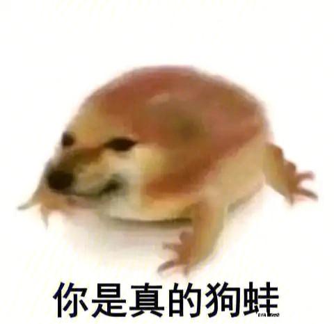 网络语doge的搞笑含义
