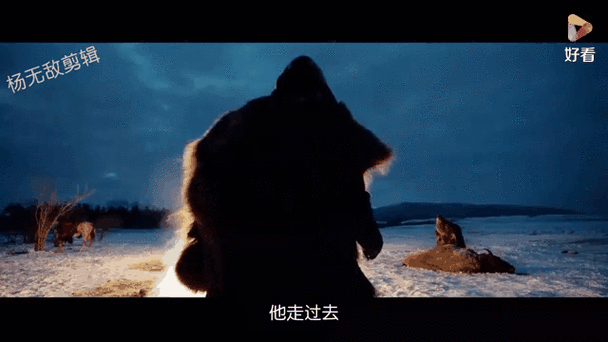 荒野猎人2缩略图
