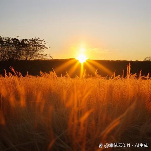 晨曦破晓的意思