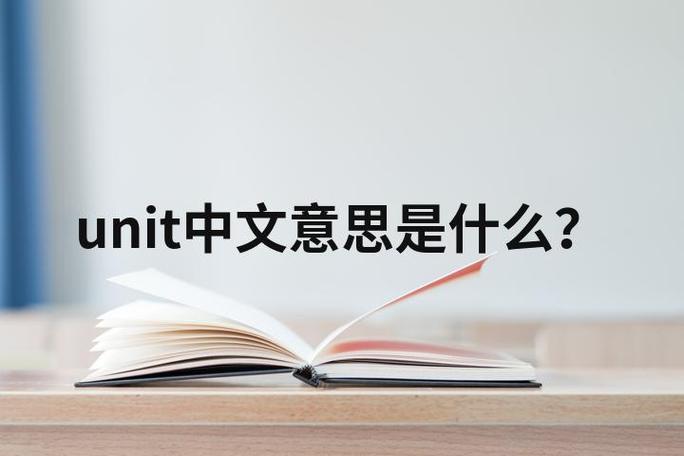 中文意思游戏截图