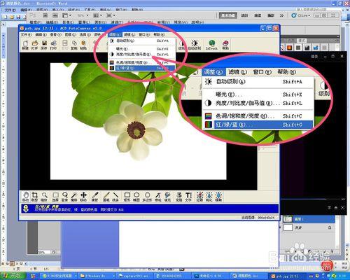 acdsee工具栏怎么显示