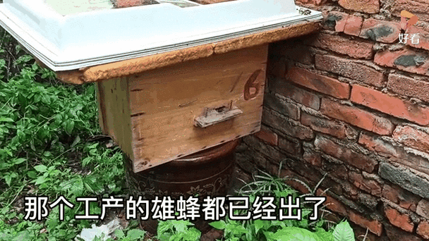 有急造王台如何介王