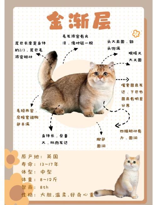 金渐层11色12色25色哪种色好