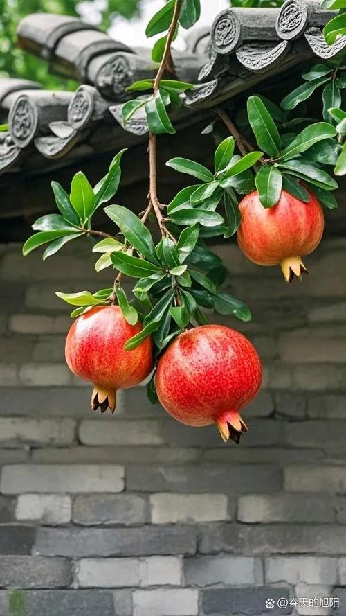 多福连连游戏