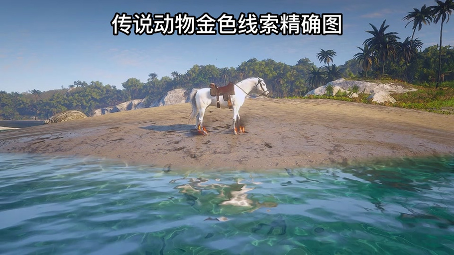 荒野大镖客2传说狼皮能干嘛