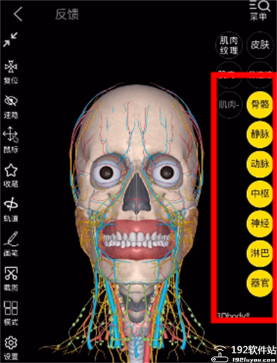 3d body解剖软件免费版