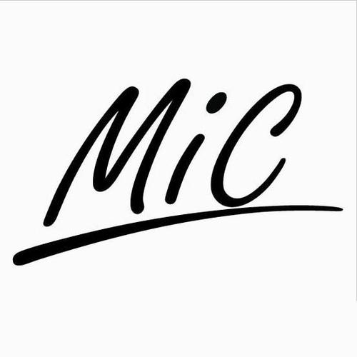 mic中文是什么意思啊