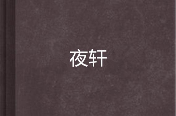 男主角叫夜轩的小说