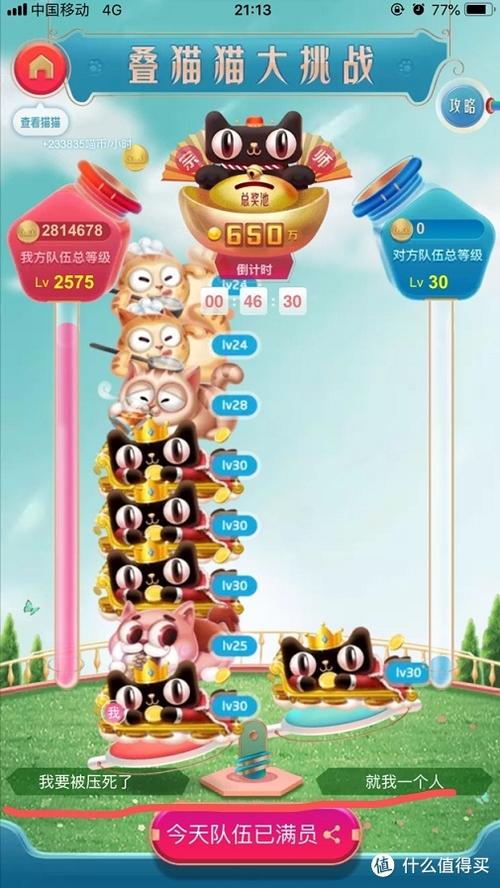 合猫猫的游戏天猫