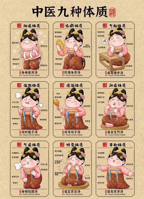 人的九大体质