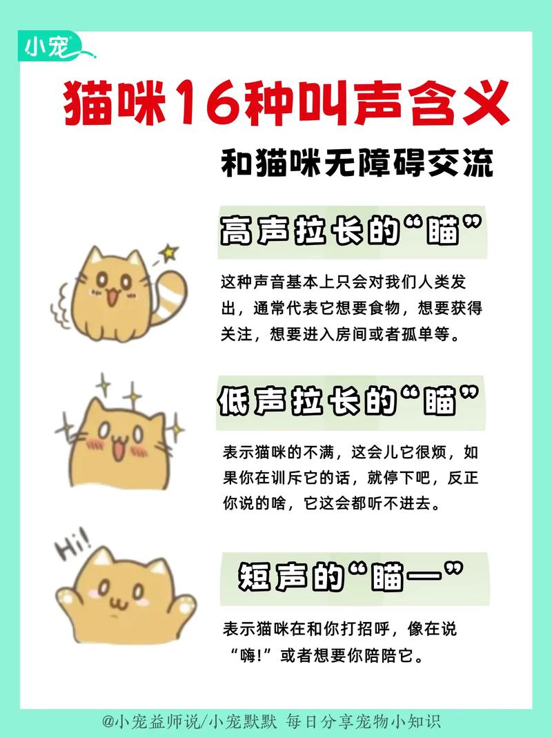 高情商回复养猫