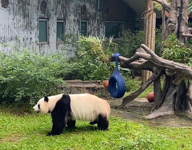 广州动物园周一闭馆吗