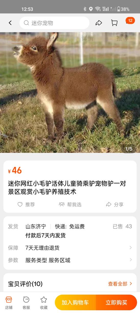哪里有卖小毛驴的