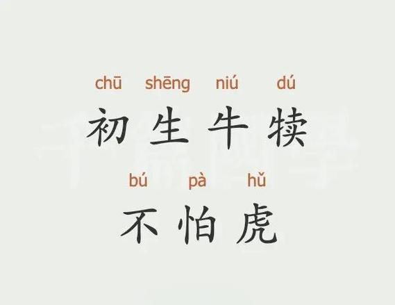 成语小牛人