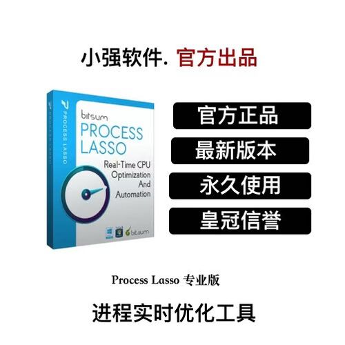 process lasso激活码