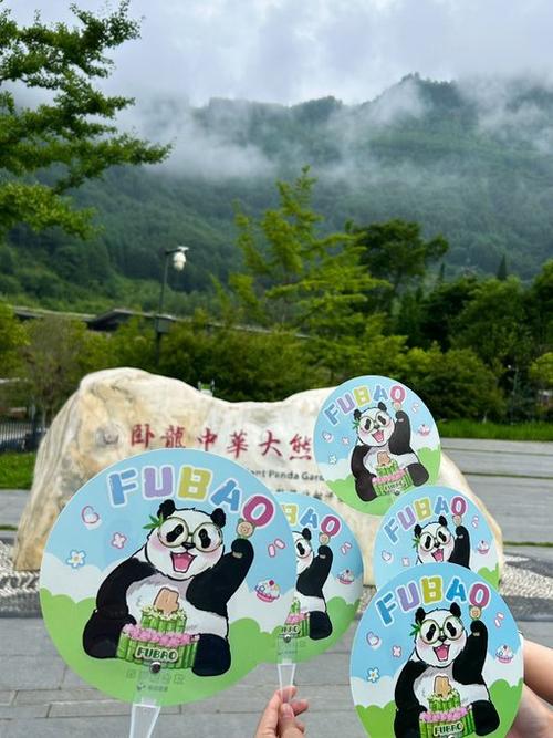 福宝在四川哪个熊猫基地