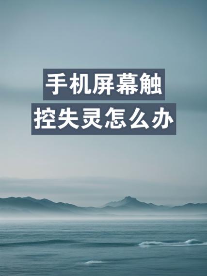 手机触摸失灵是换什么