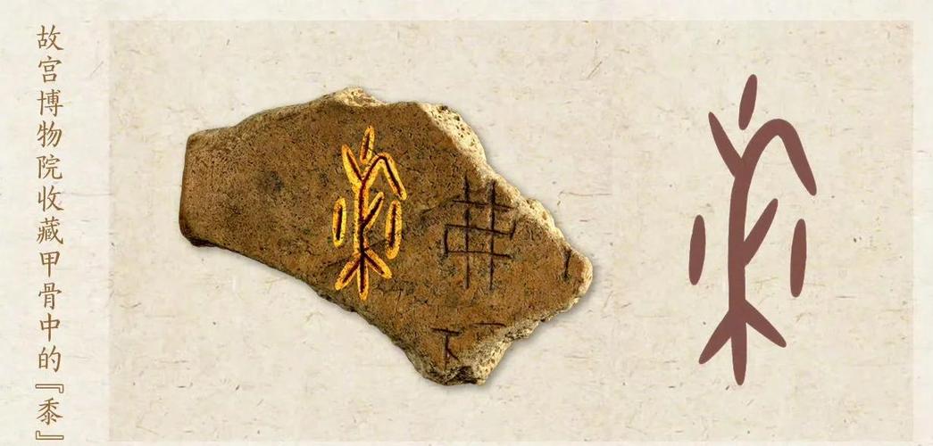 古文字翻译器扫一扫