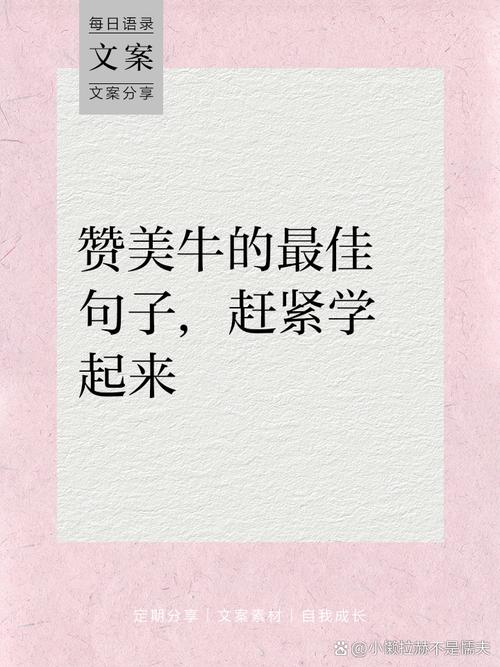 牛赞是什么意思缩略图