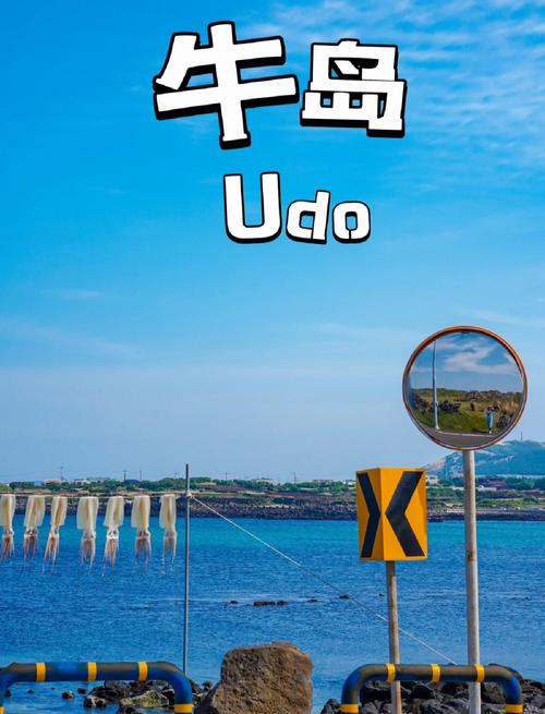 济州岛牛岛最火的一句图标