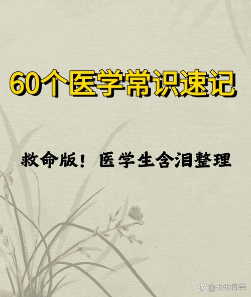 医学宝典下载安装