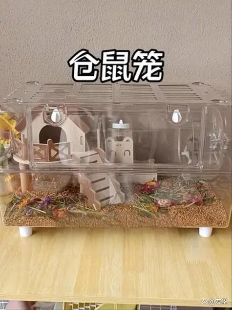 仓鼠笼子可以用什么代替