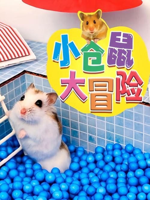 小仓鼠大冒险100集免费缩略图