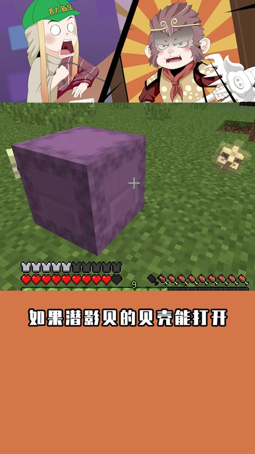 潜影贝壳