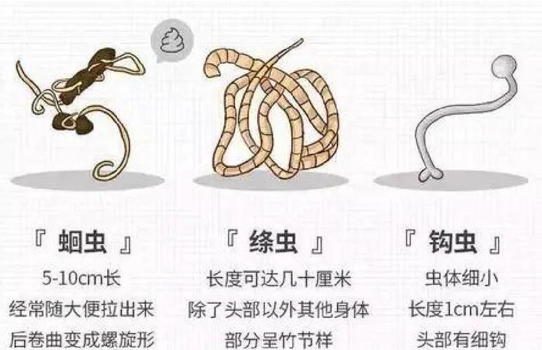 如何消灭体内寄生虫截图