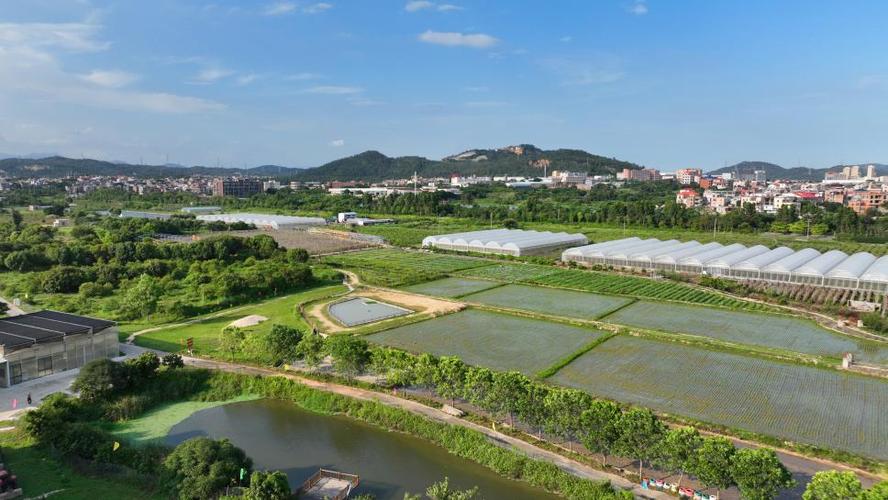 福建省有机农场有几个
