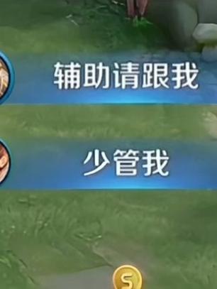 王者辅助软件下载 app