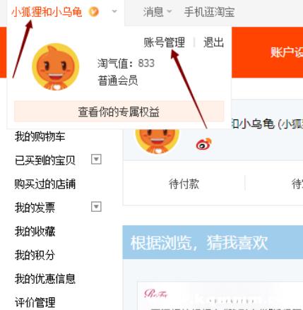淘宝id就是用户名吗