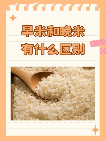 不同种类的大米可以混着吃吗