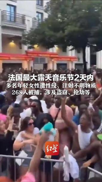 法国露天音乐节沦为暴力现场