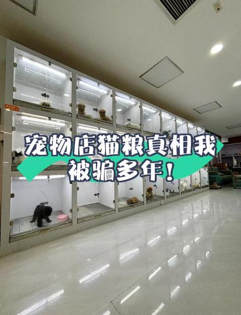 离我最近的猫粮店