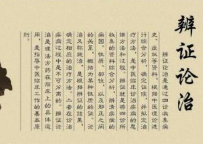辨证施治免费阅读全文
