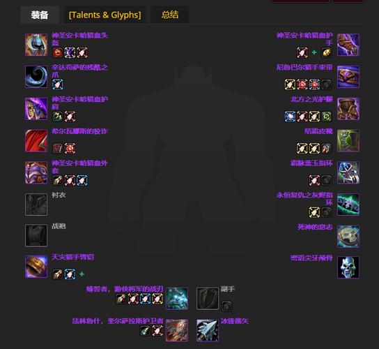 魔兽世界兽王猎人装备属性选择