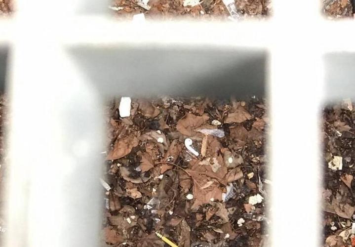 airpods耳机掉水里