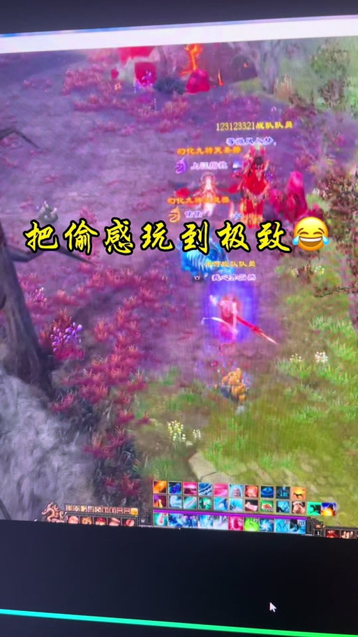 天龙八部哪里掉10级打孔