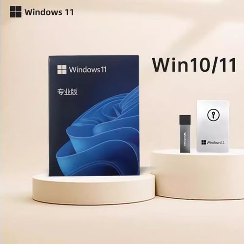 系统u盘和系统光盘哪个好