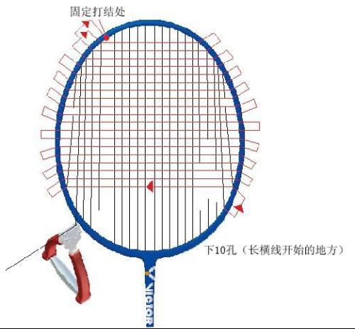 羽毛球线型号的区别缩略图