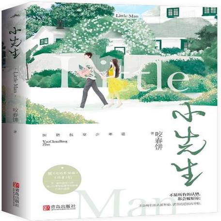 小先生衍生小说